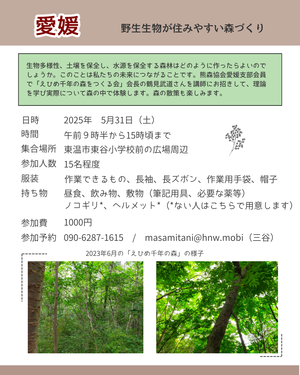 Photo_6